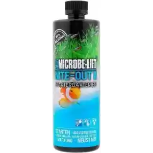 Nite out2 473ml