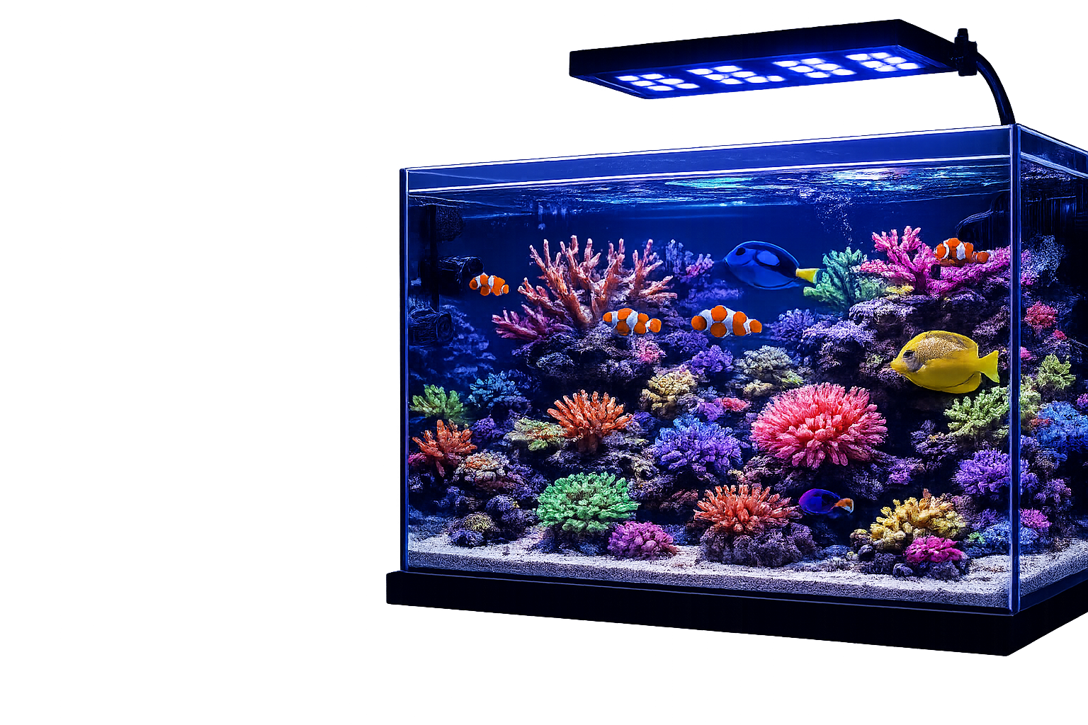 Aquário Marinho Completo Reef Joinville